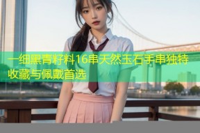 一细黑青籽料16串天然玉石手串独特收藏与佩戴首选
