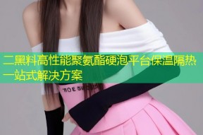 二黑料高性能聚氨酯硬泡平台保温隔热一站式解决方案