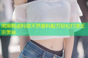 周黑鸭卤料袋天然香料配方轻松打造正宗美味