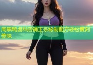 周黑鸭卤料店铺正宗秘制配方轻松复刻美味