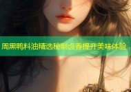 周黑鸭料油精选秘制卤香提升美味体验
