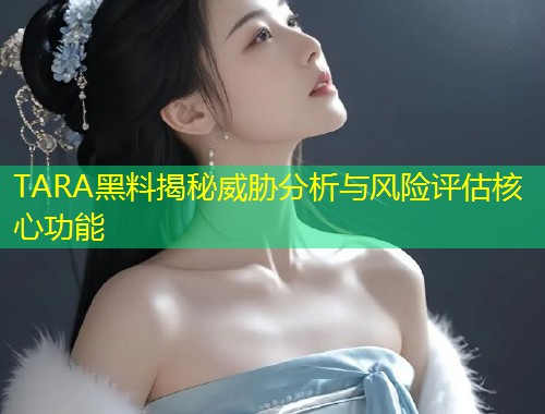 TARA黑料揭秘威胁分析与风险评估核心功能  第1张