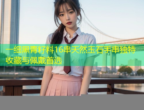 一细黑青籽料16串天然玉石手串独特收藏与佩戴首选  第1张
