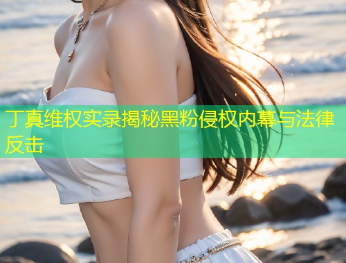 丁真维权实录揭秘黑粉侵权内幕与法律反击  第1张