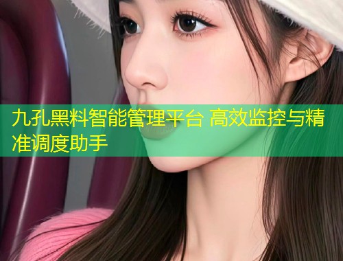 九孔黑料智能管理平台 高效监控与精准调度助手  第1张