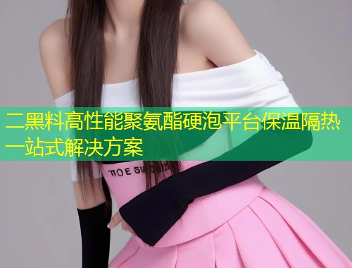 二黑料高性能聚氨酯硬泡平台保温隔热一站式解决方案  第1张