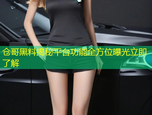 仓哥黑料揭秘平台功能全方位曝光立即了解  第1张