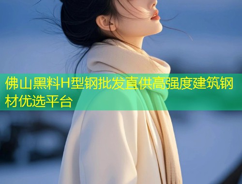 佛山黑料H型钢批发直供高强度建筑钢材优选平台  第2张