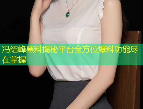 冯绍峰黑料揭秘平台全方位爆料功能尽在掌握  第2张