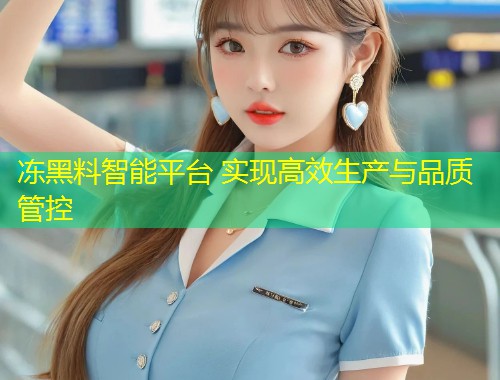 冻黑料智能平台 实现高效生产与品质管控  第2张