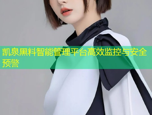 凯泉黑料智能管理平台高效监控与安全预警  第1张
