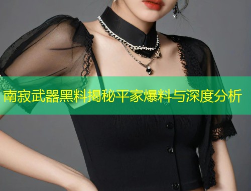 南寂武器黑料揭秘平家爆料与深度分析  第1张