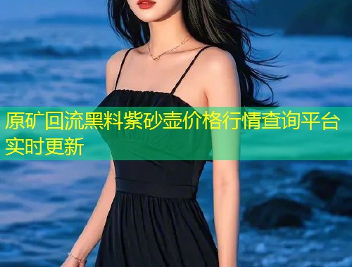 原矿回流黑料紫砂壶价格行情查询平台实时更新  第1张