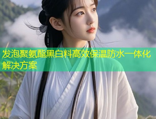 发泡聚氨酯黑白料高效保温防水一体化解决方案  第1张