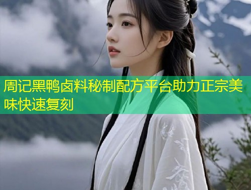 周记黑鸭卤料秘制配方平台助力正宗美味快速复刻  第1张
