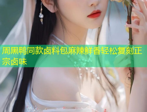 周黑鸭同款卤料包麻辣鲜香轻松复刻正宗卤味  第2张