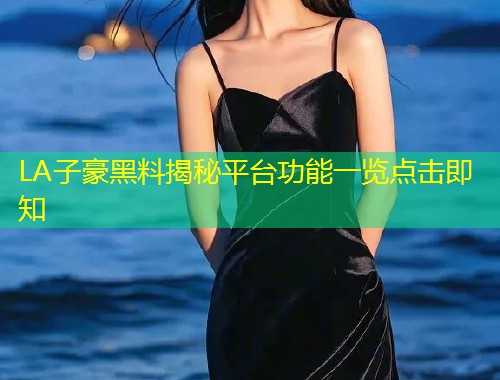 LA子豪黑料揭秘平台功能一览点击即知  第2张